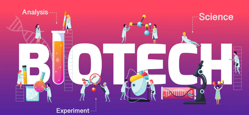 Effects Of Human Cloning