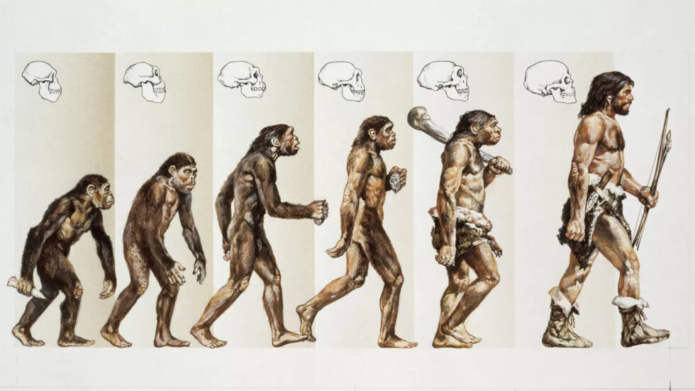 What Makes People Human